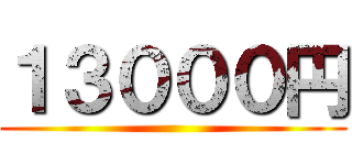 １３０００円 ()