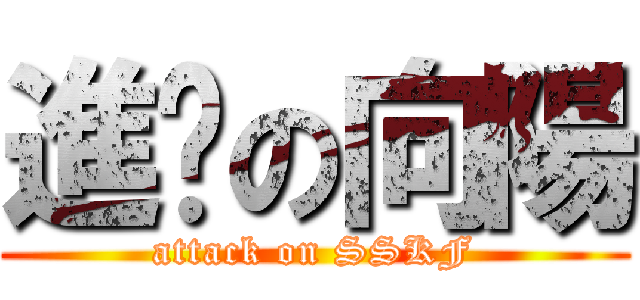 進擊の向陽 (attack on SSKF)
