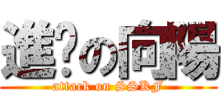 進擊の向陽 (attack on SSKF)