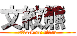 文紋熊  (attack on titan)