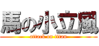 馬の小立風 (attack on titan)