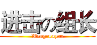 进击の组长 (Wangruoyan)