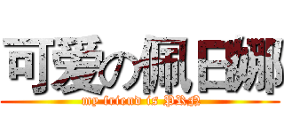 可爱の佩日娜 ( my friend is PRN)
