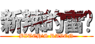 新辣的雷玟 (BITCH\'S RAVEN)