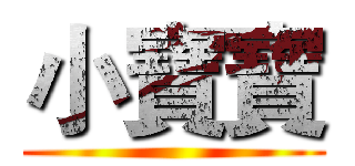 小寶寶 ()