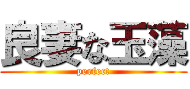 良妻な玉藻 (perfect)