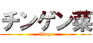 チンゲン菜 (chinge)