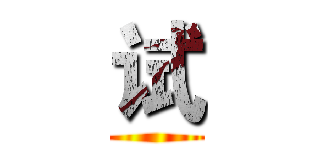 试 ()