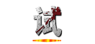 试 ()