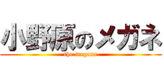 小野原のメガネ (the megane)