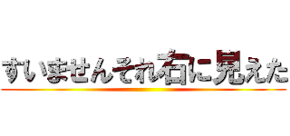 すいませんそれ右に見えた ()