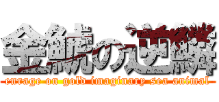 金鯱の逆鱗 (enrage on gold imaginary sea animal)