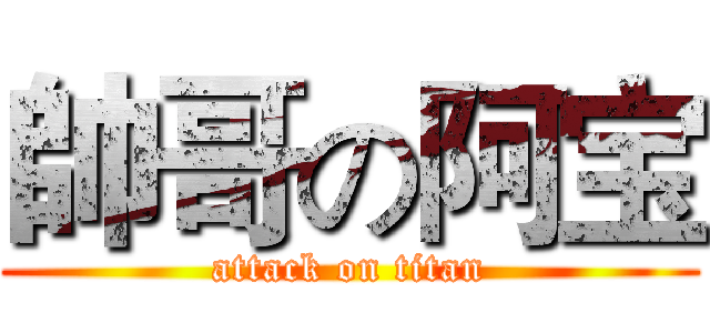 帥哥の阿宝 (attack on titan)