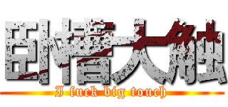 卧槽大触 (I fuck big touch)