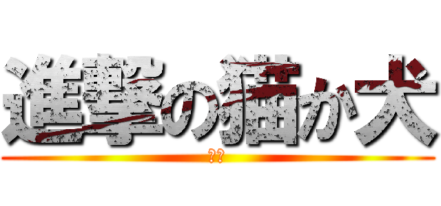 進撃の猫か犬 (いね)