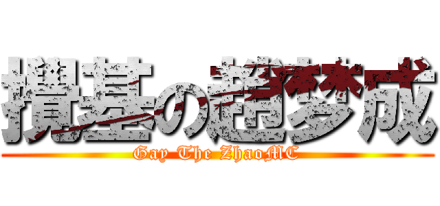 攪基の趙梦成 (Gay The ZhaoMC)