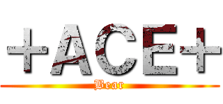 ＋ＡＣＥ＋ (Bear)
