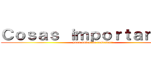 Ｃｏｓａｓ ｉｍｐｏｒｔａｎｔｅｓ (para antes de reservar:)