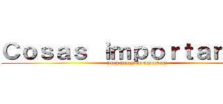 Ｃｏｓａｓ ｉｍｐｏｒｔａｎｔｅｓ (para antes de reservar:)