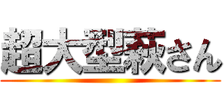 超大型萩さん ()