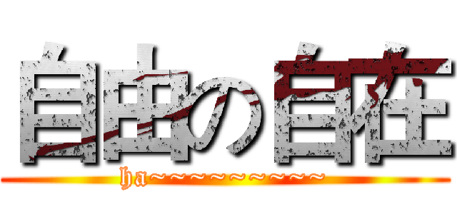 自由の自在 (ha~~~~~~~~~)