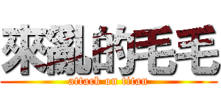 來亂的毛毛 (attack on titan)