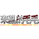 來亂的毛毛 (attack on titan)