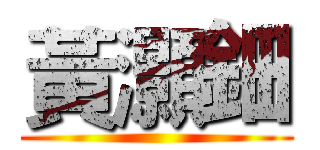 黃灝鈿 ()