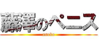 藤澤のペニス (asoko)