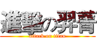 進擊の羿菁 (attack on titan)