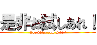 是非お試しあれ！ (Try it by yourself !)