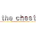 ｔｈｅ ｃｈｅｓｔ (Journey of the soul)