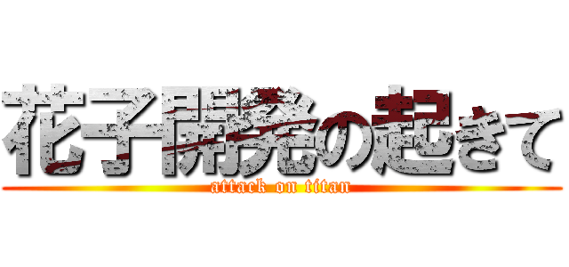 花子開発の起きて (attack on titan)