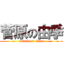 菅原の由季 (attack on titan)