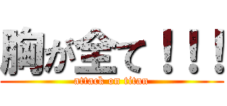 胸が全て！！！ (attack on titan)