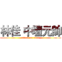 林佳 中壇元帥 (attack on titan)