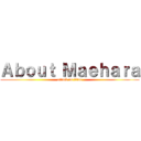 Ａｂｏｕｔ Ｍａｅｈａｒａ (attack on titan)