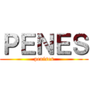 ＰＥＮＥＳ (penises)