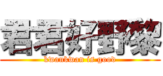 君君好野黎 (kwankwan is good)
