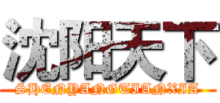 沈阳天下 (SHENYANGTIANXIA)