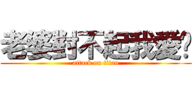 老婆對不起我愛你 (attack on titan)