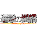 進擊の楓橋 (attack on BBS)