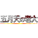 五月天の老大 ( )