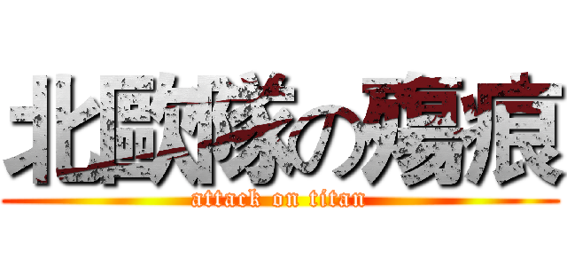 北歐隊の殤痕 (attack on titan)