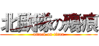 北歐隊の殤痕 (attack on titan)
