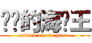 进击的海贼王 (attack on one piece)