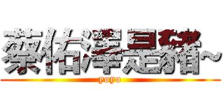 蔡佑澤是豬~ (yoyo)