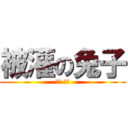 被灌の兔子 (兔子 不要)