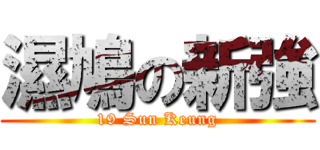 濕鳩の新強 (19 Sun Keung)