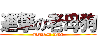 進撃の老母狗 (attack on titan)
